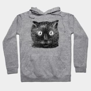 Cat watch Hoodie